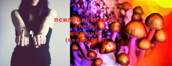 мдпв Аша