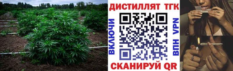ТГК вейп с тгк  сайты даркнета как зайти  Дзержинск  ссылка на мегу tor 