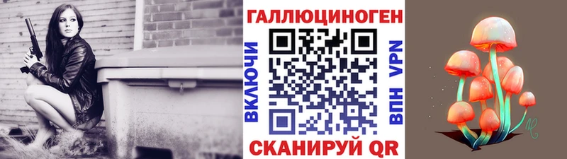 где купить   Дзержинск  Псилоцибиновые грибы Magic Shrooms 
