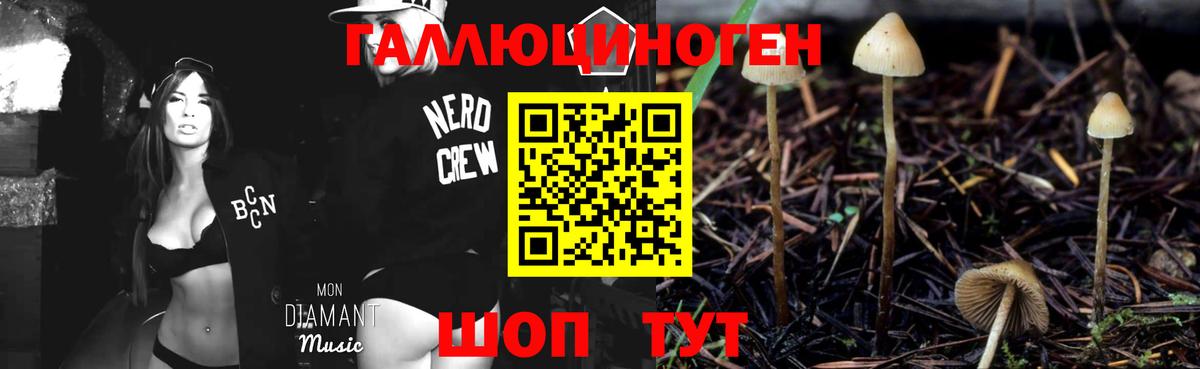 Дзержинск  Псилоцибиновые грибы Cubensis  Псилоцибиновые грибы Psilocybine cubensis  Вход с VPN 